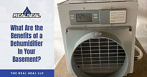 What Are the Benefits of a Dehumidifier In Your Basement?