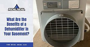 benefits of dehumidifier