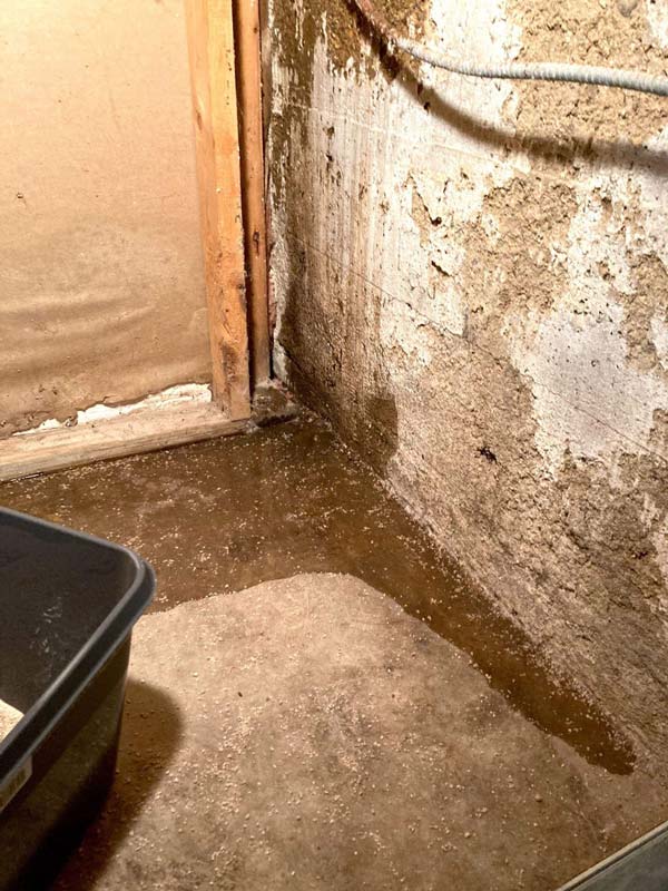 Poor drainage around a foundation is one of the leading causes of foundation problems. Therefore, any sign of poor drainage or water damage is a red flag.