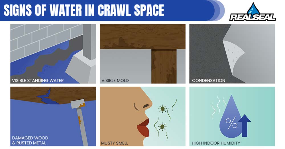 signs of water in crawl space