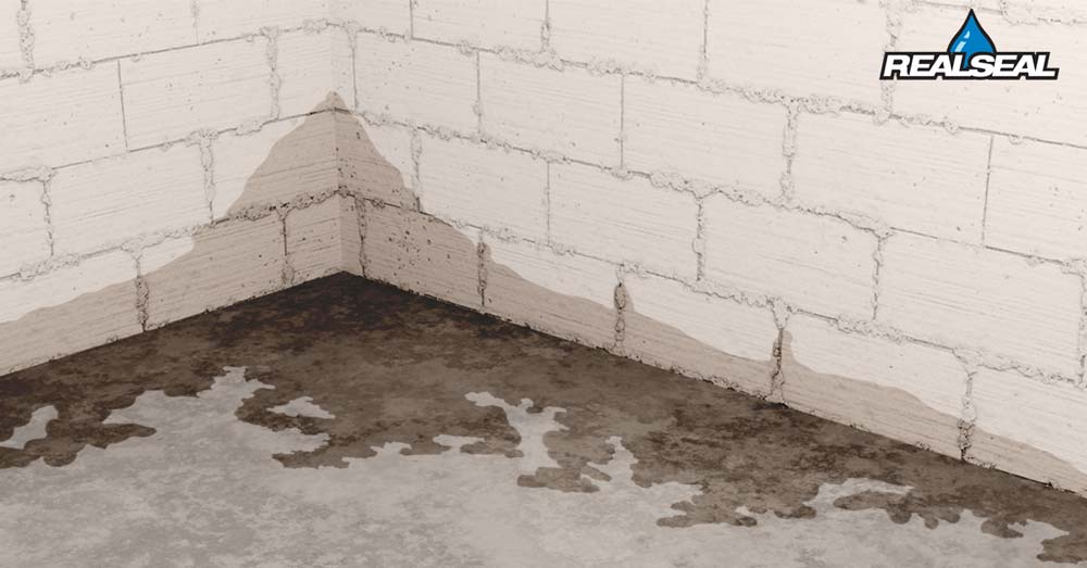 One of the most obvious signs that you might need a sump pump is a wet basement or crawl space. If you notice standing water, dampness, or a musty odor in these areas, you probably have moisture seeping in from the surrounding soggy soil.