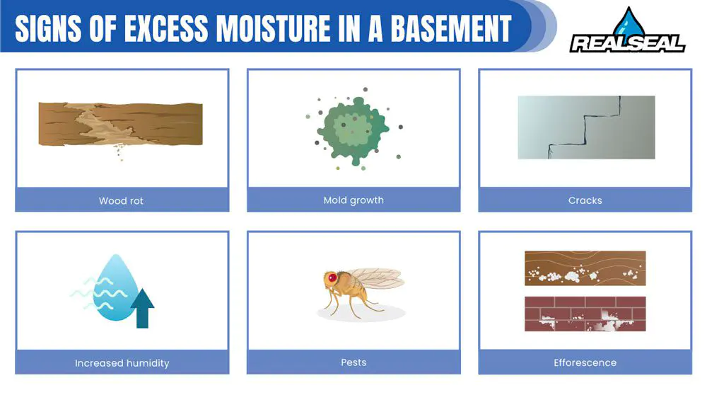 Signs of Excess Moisture in a Basement