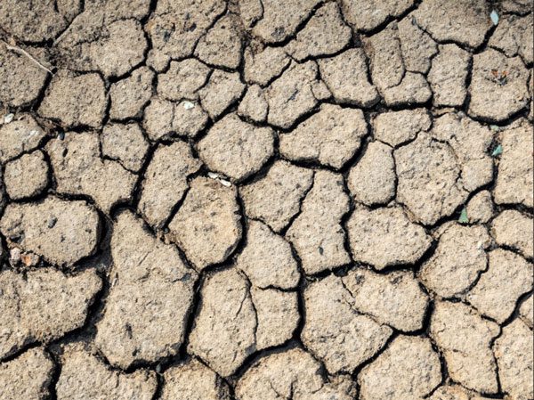Increased temperatures can also cause soils around your foundation to crack. Cracking soil reveals a need for foundation watering