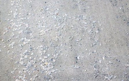 Spalling concrete is when concrete begins to crack, chip, or flake away. This exposes the aggregate or reinforcement, which can lead to further damage.