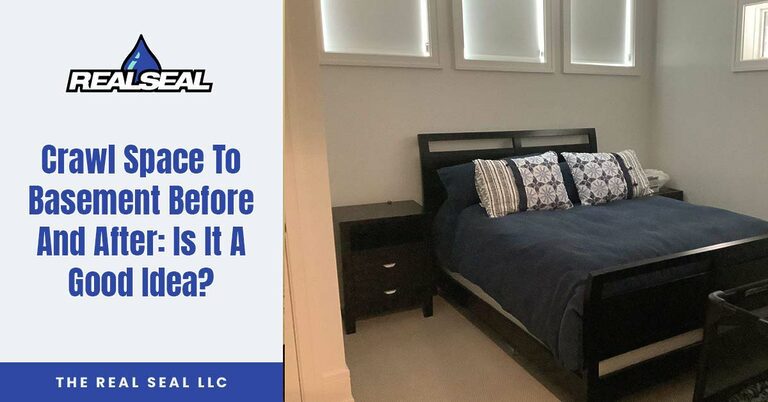 crawl space to basement before and after