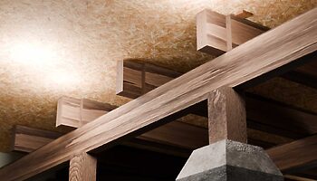 trs-floor-joist-repair-and-replacement Floor Joist Repair and Replacement